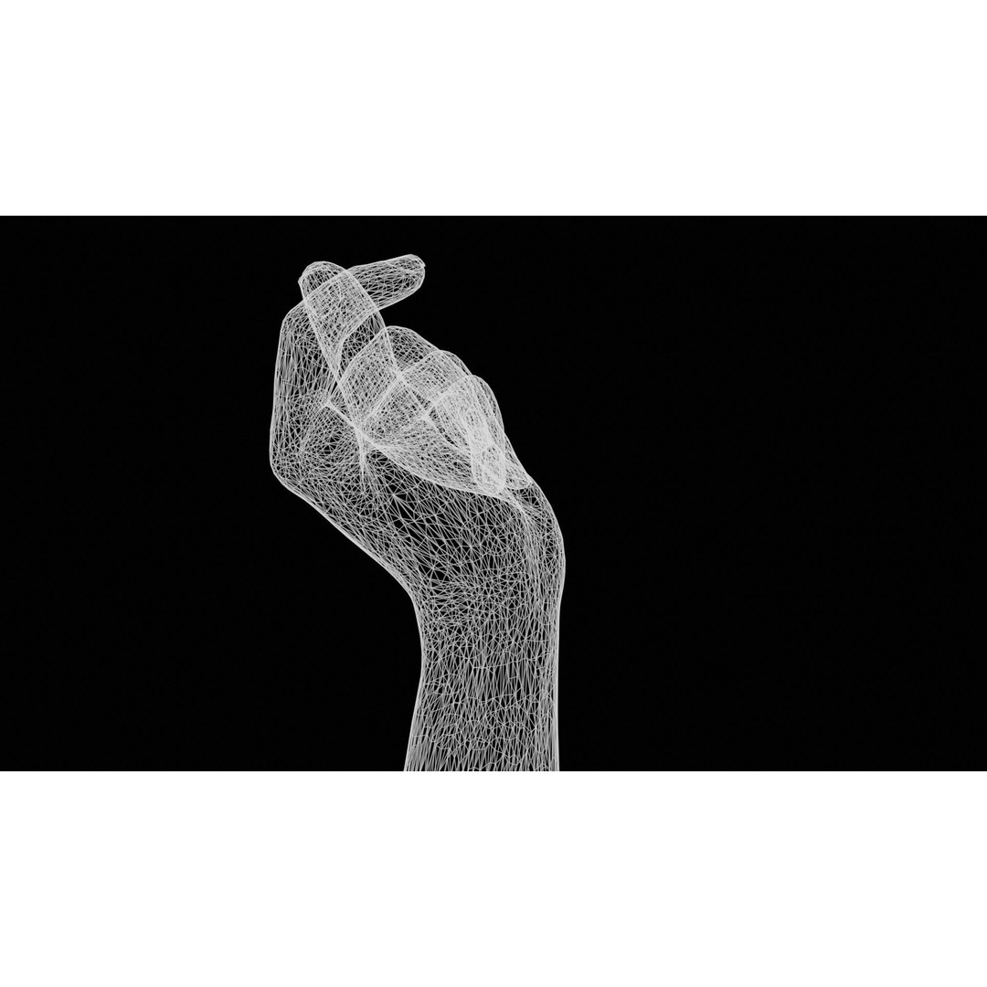 Male Hand 3D Model – Low Poly Photorealistic Scan, FBX, OBJ - View 14