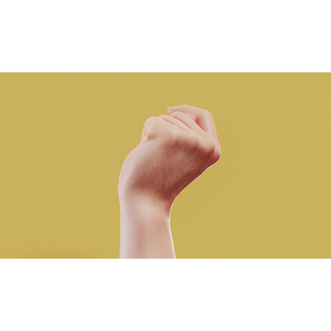 Male Hand 3D Model – Low Poly Photorealistic Scan, FBX, OBJ - View 8
