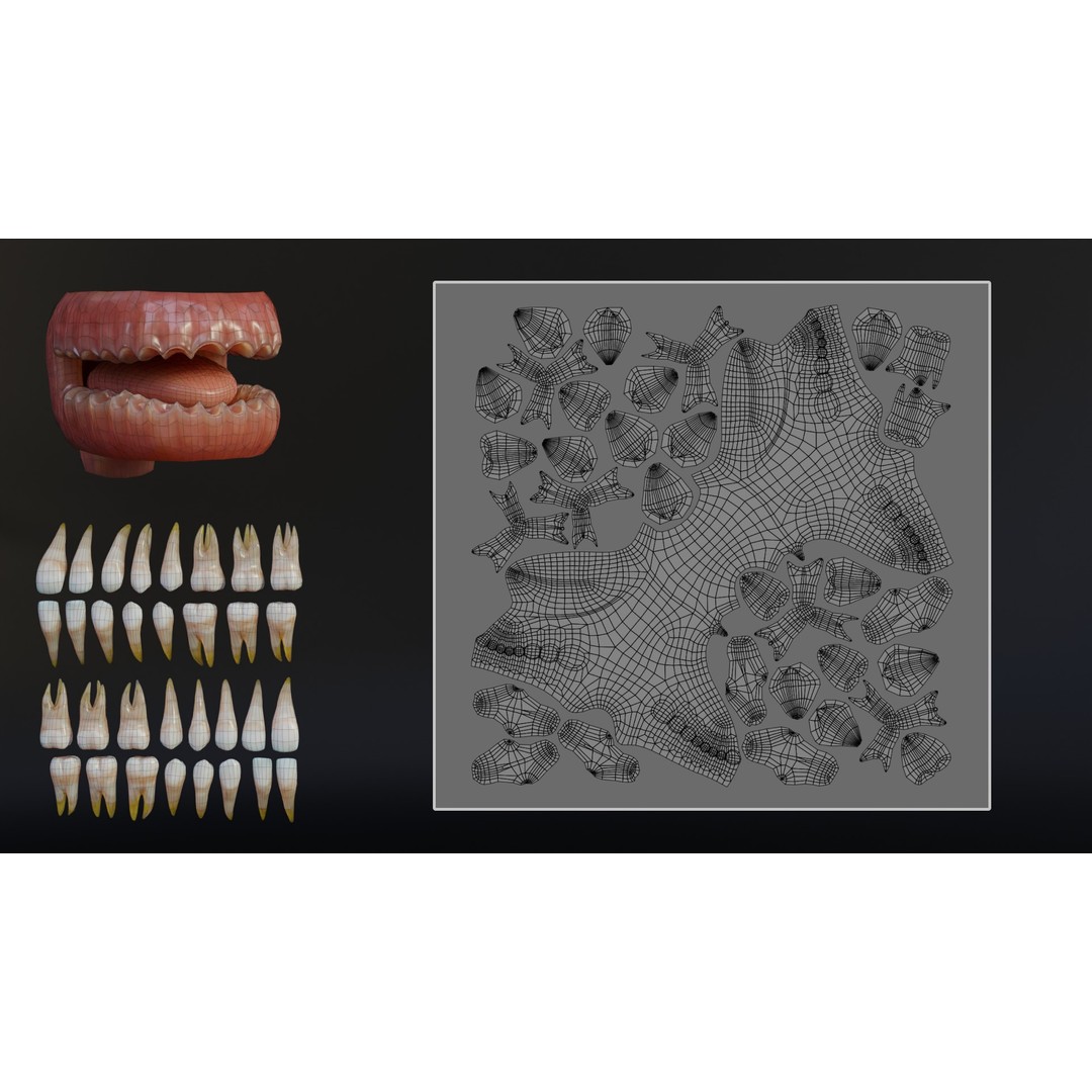 Human Mouth 3D Model – Rigged Low-Poly Character Asset, FBX, Blender