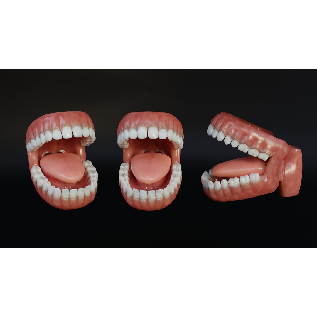 Human Mouth 3D Model – Rigged Low-Poly Character Asset, FBX, Blender - View 10