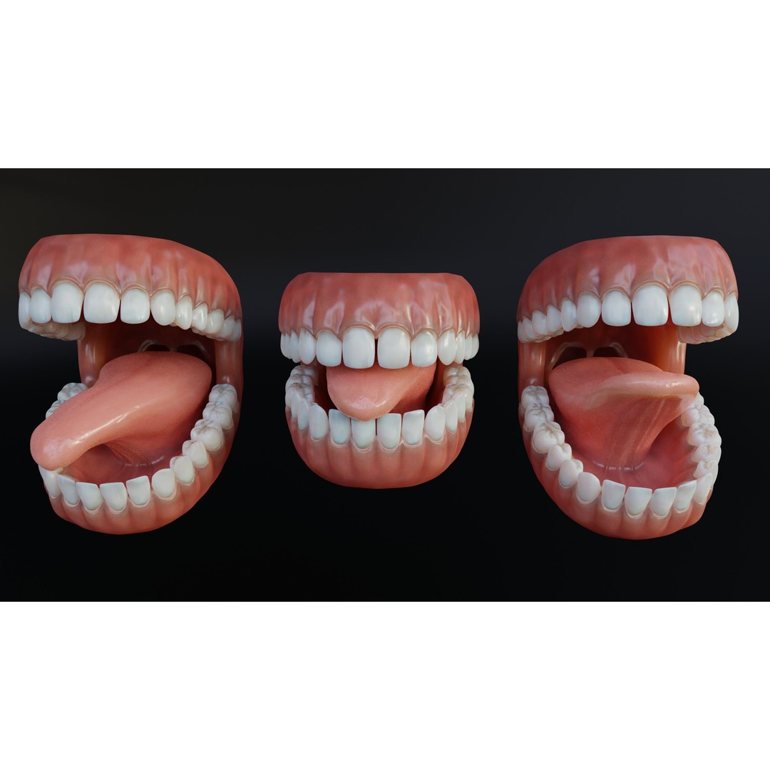 Human Mouth 3D Model – Rigged Low-Poly Character Asset, FBX, Blender - View 12