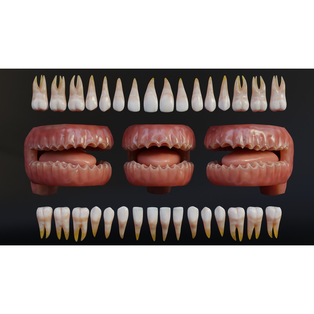 Human Mouth 3D Model – Rigged Low-Poly Character Asset, FBX, Blender - View 15