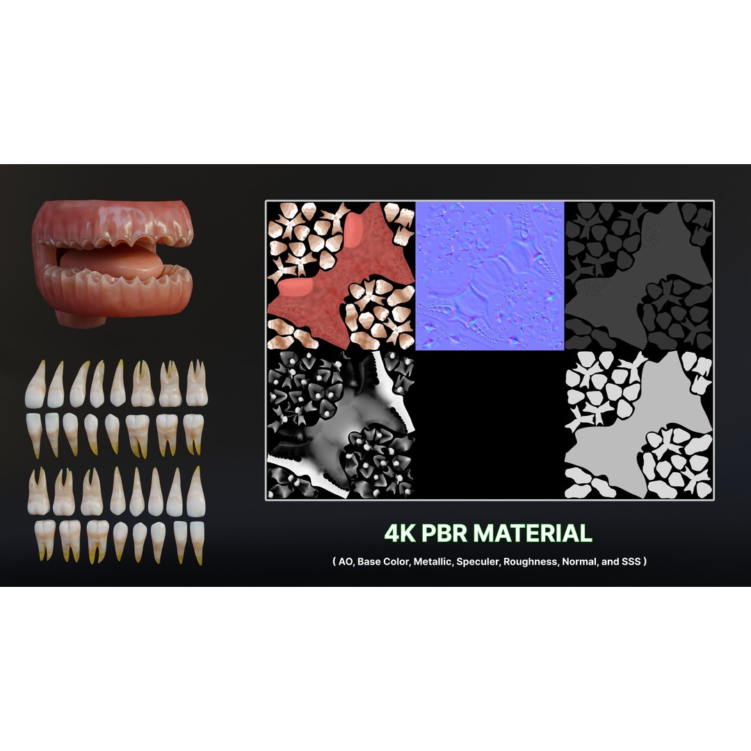 Human Mouth 3D Model – Rigged Low-Poly Character Asset, FBX, Blender - View 16