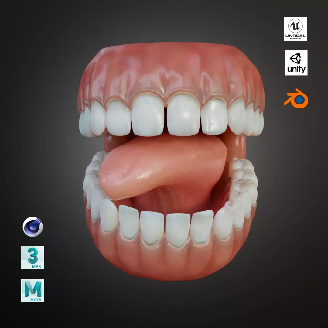 Human Mouth 3D Model – Rigged Low-Poly Character Asset, FBX, Blender - View 2