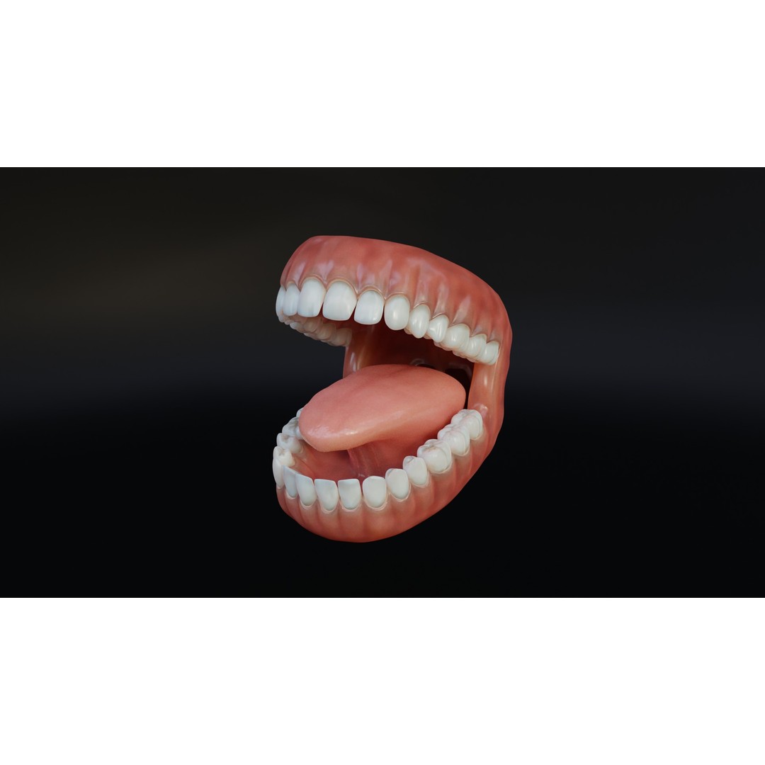 Human Mouth 3D Model – Rigged Low-Poly Character Asset, FBX, Blender - View 3