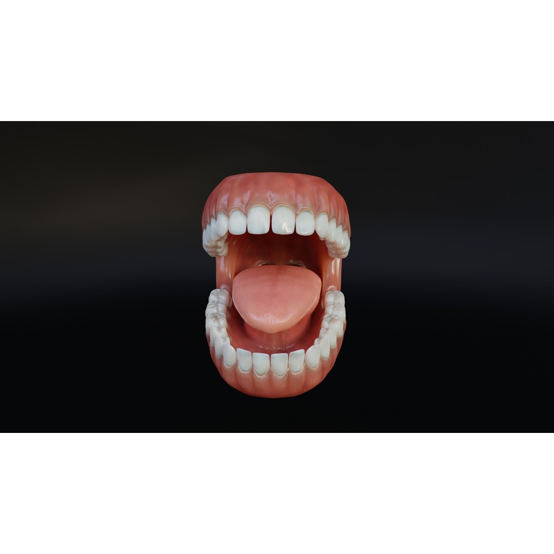 Human Mouth 3D Model – Rigged Low-Poly Character Asset, FBX, Blender - View 4