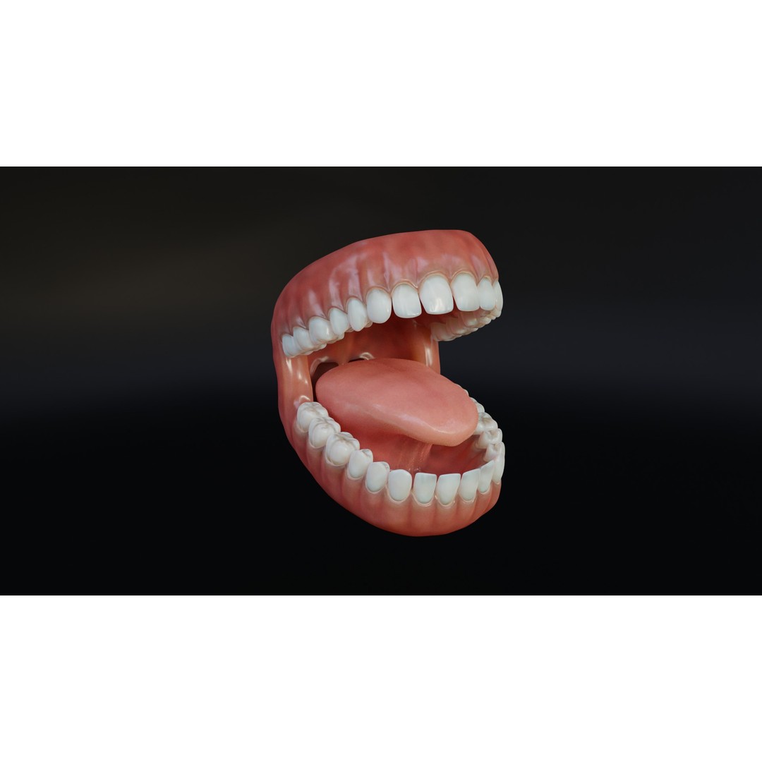 Human Mouth 3D Model – Rigged Low-Poly Character Asset, FBX, Blender - View 5