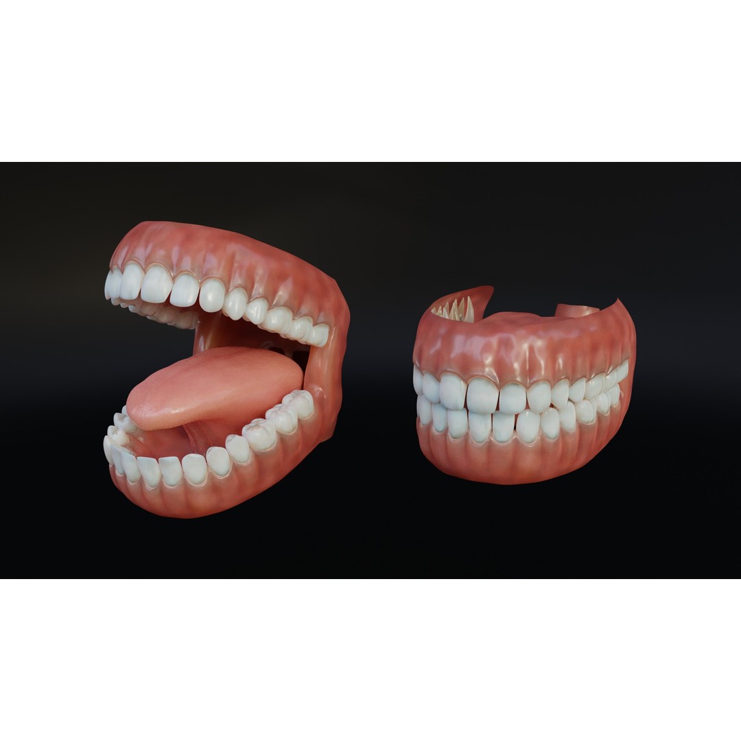 Human Mouth 3D Model – Rigged Low-Poly Character Asset, FBX, Blender - View 7