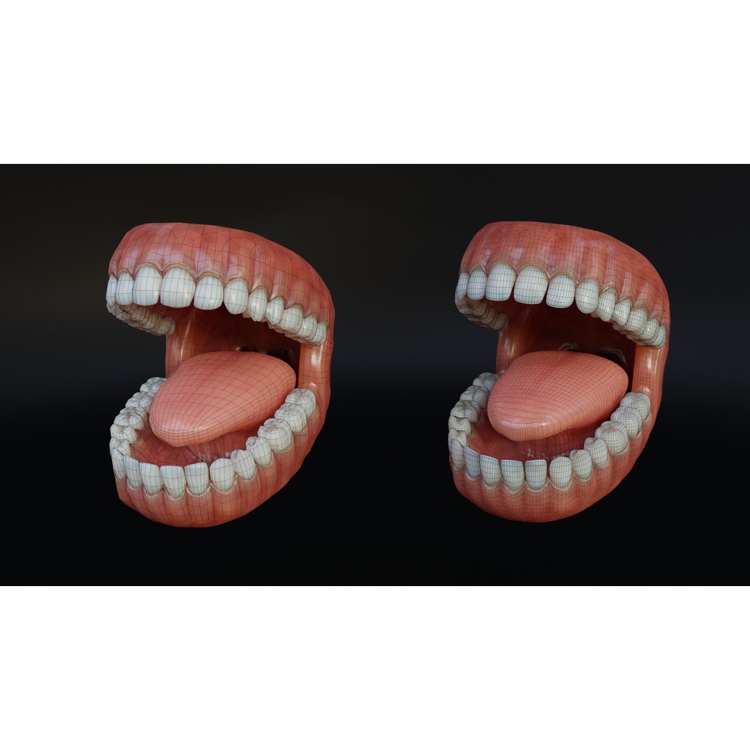 Human Mouth 3D Model – Rigged Low-Poly Character Asset, FBX, Blender - View 8