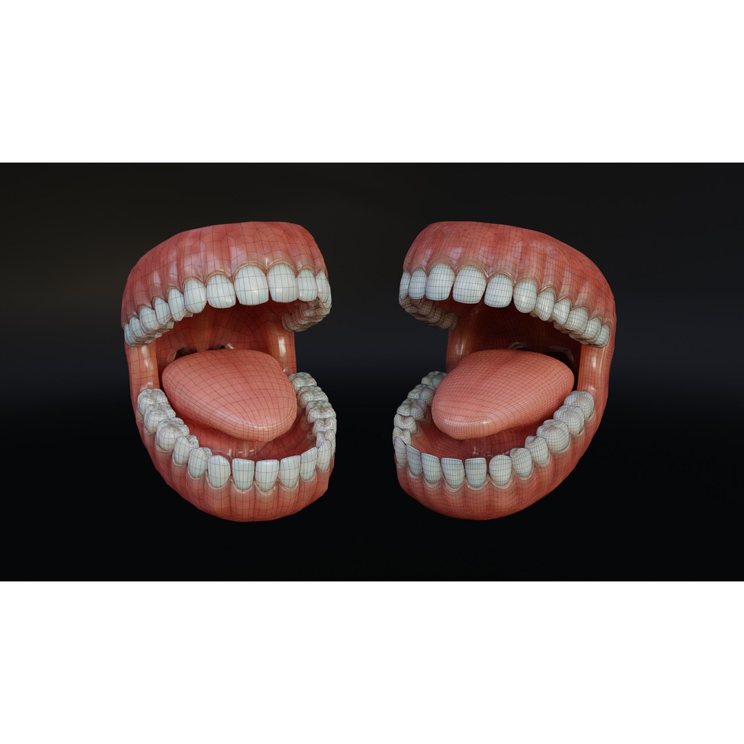 Human Mouth 3D Model – Rigged Low-Poly Character Asset, FBX, Blender - View 9