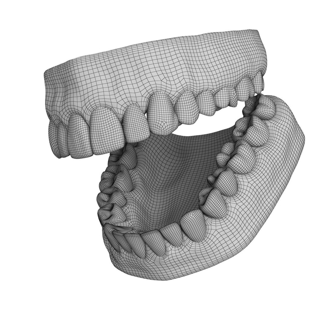 Human Teeth and Gums 3D Model – High Resolution PBR Asset, FBX/OBJ