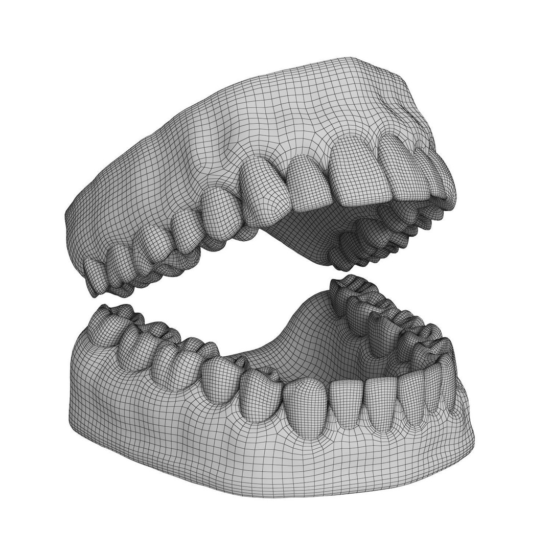 Human Teeth and Gums 3D Model – High Resolution PBR Asset, FBX/OBJ - View 8