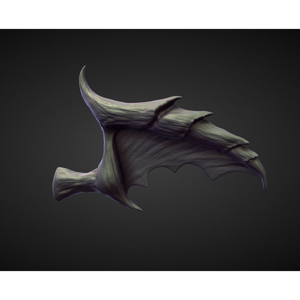 Wings and Fins 3D Model – High Poly Character Anatomy, Blender
