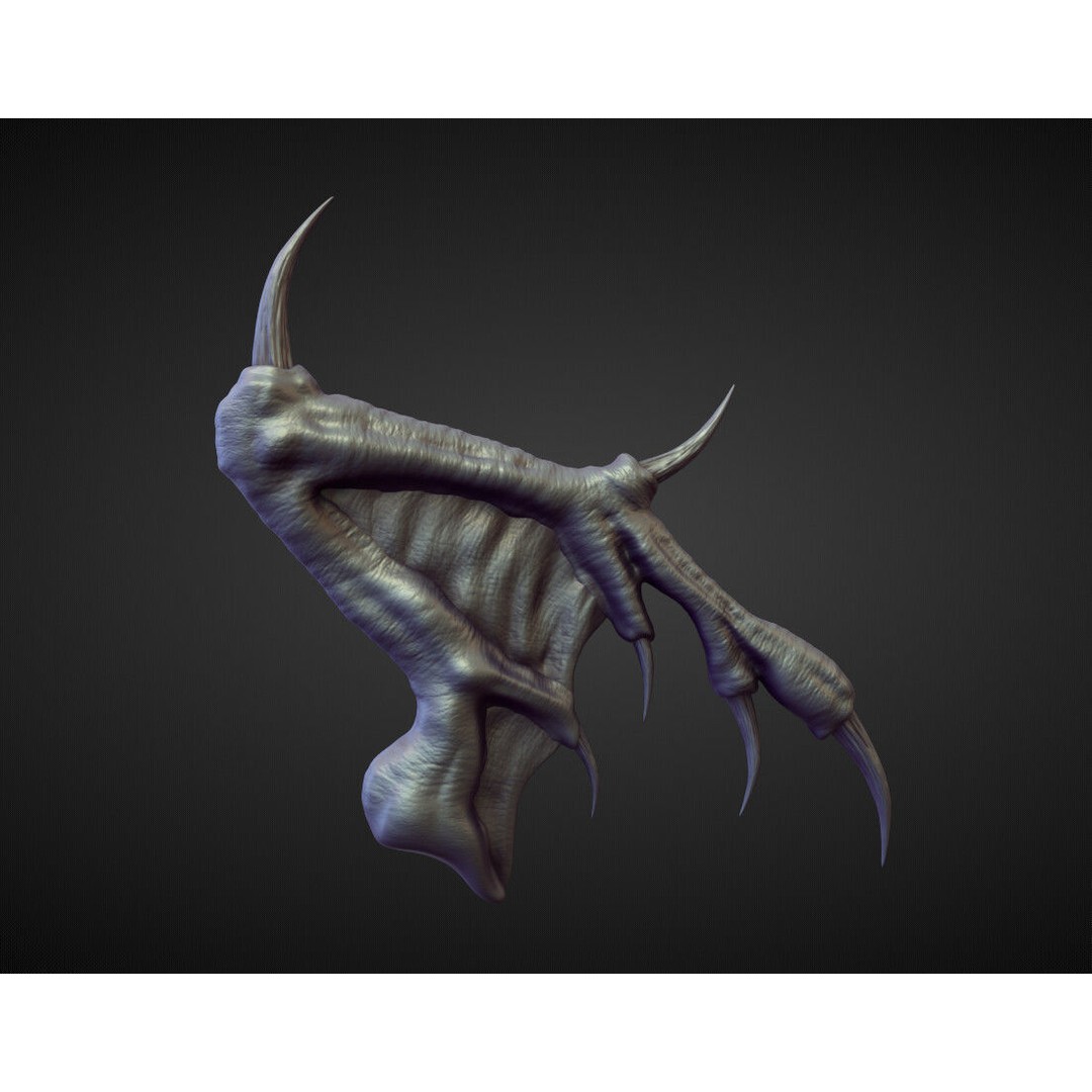 Wings and Fins 3D Model – High Poly Character Anatomy, Blender - View 10