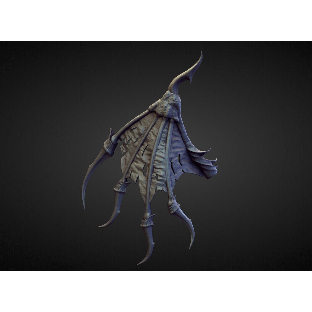 Wings and Fins 3D Model – High Poly Character Anatomy, Blender - View 11