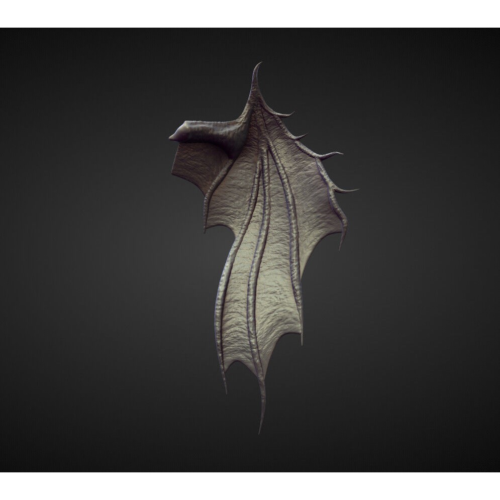 Wings and Fins 3D Model – High Poly Character Anatomy, Blender - View 12