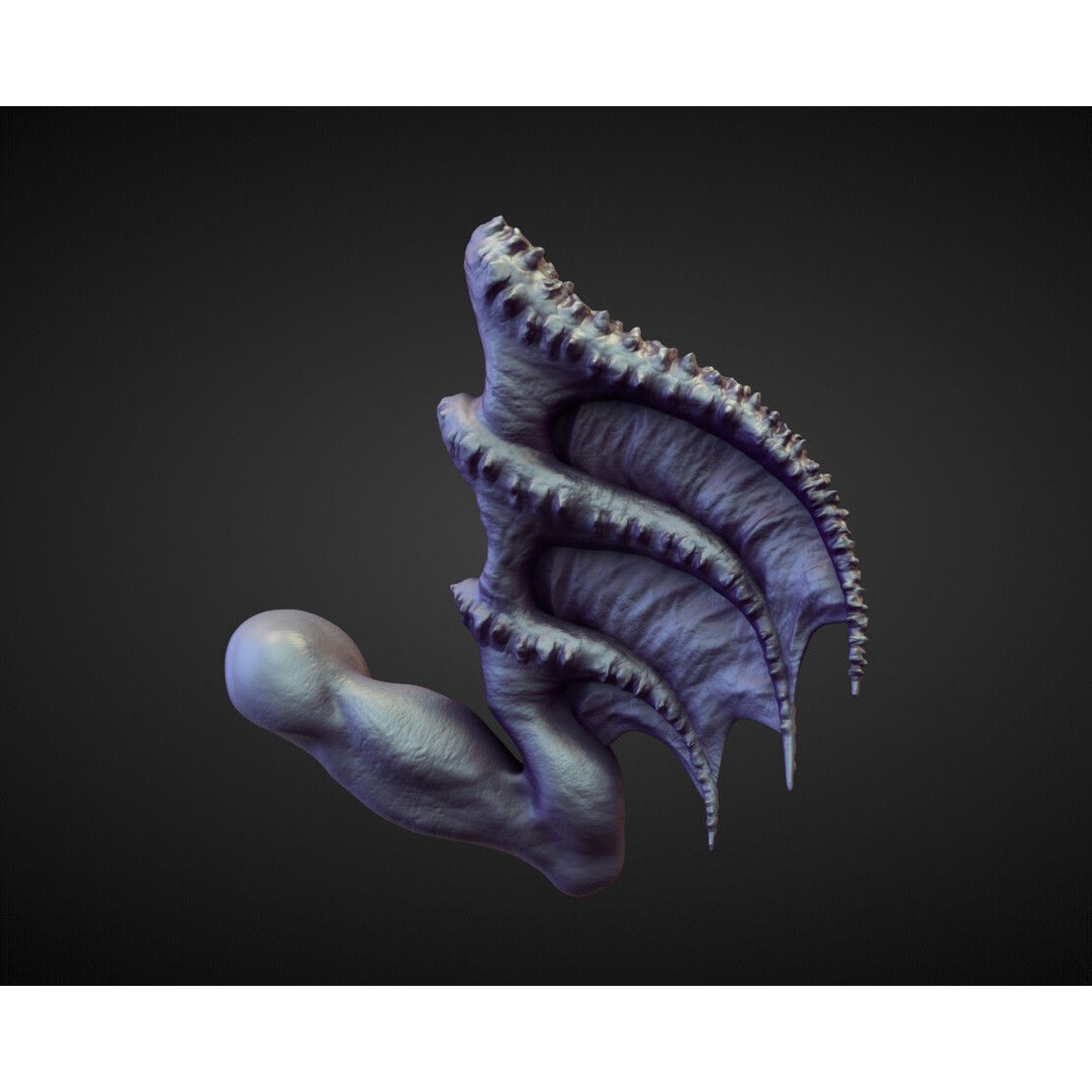 Wings and Fins 3D Model – High Poly Character Anatomy, Blender - View 13