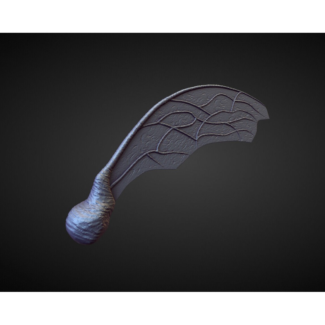 Wings and Fins 3D Model – High Poly Character Anatomy, Blender - View 14