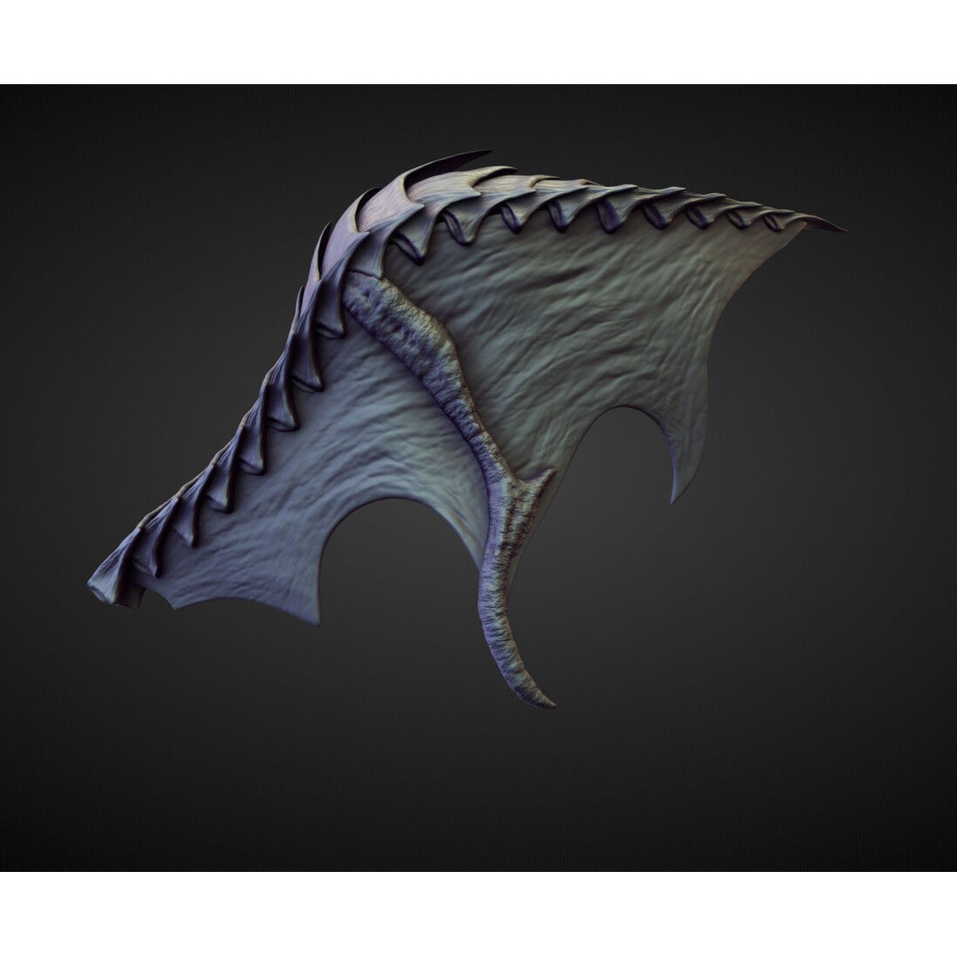 Wings and Fins 3D Model – High Poly Character Anatomy, Blender - View 16