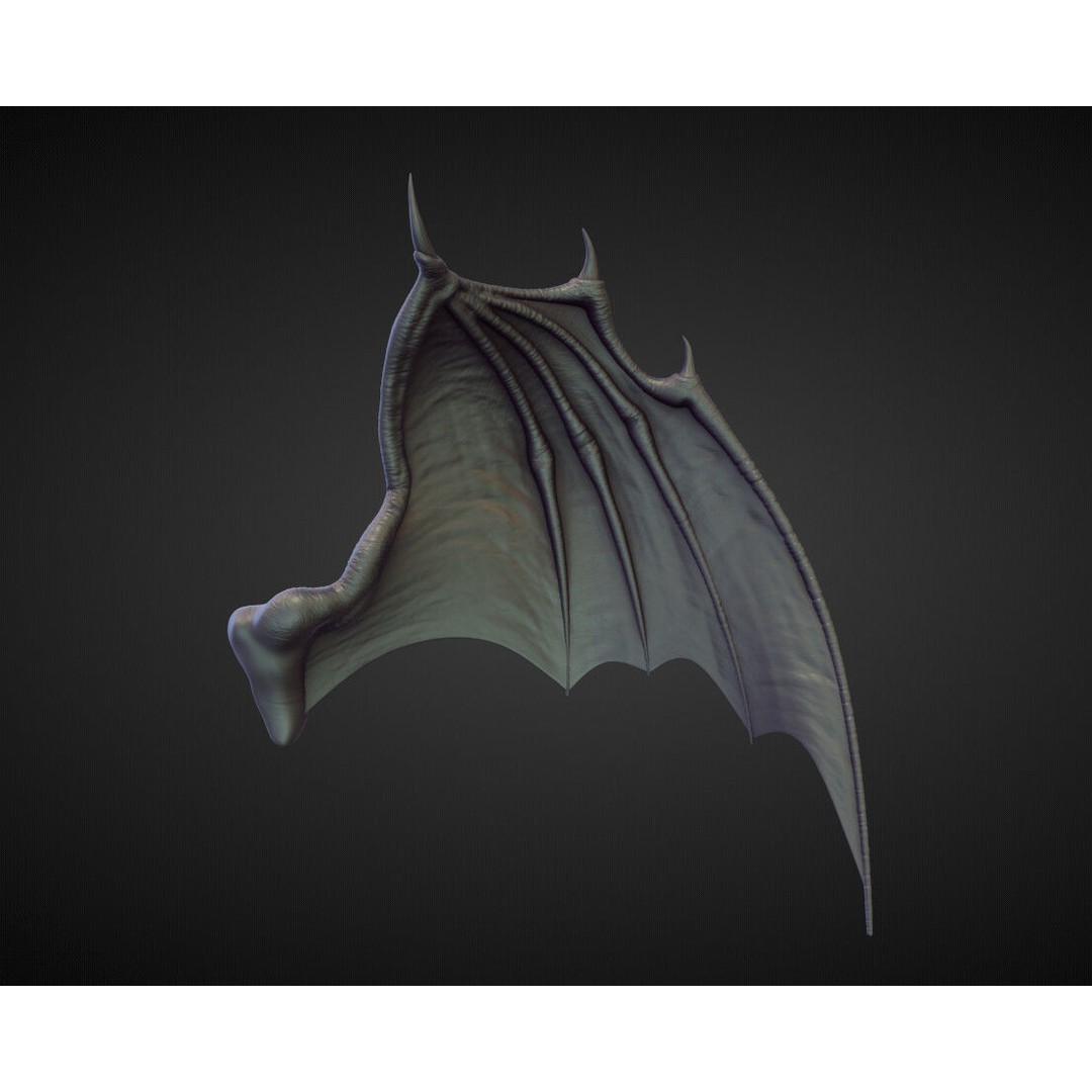 Wings and Fins 3D Model – High Poly Character Anatomy, Blender - View 17
