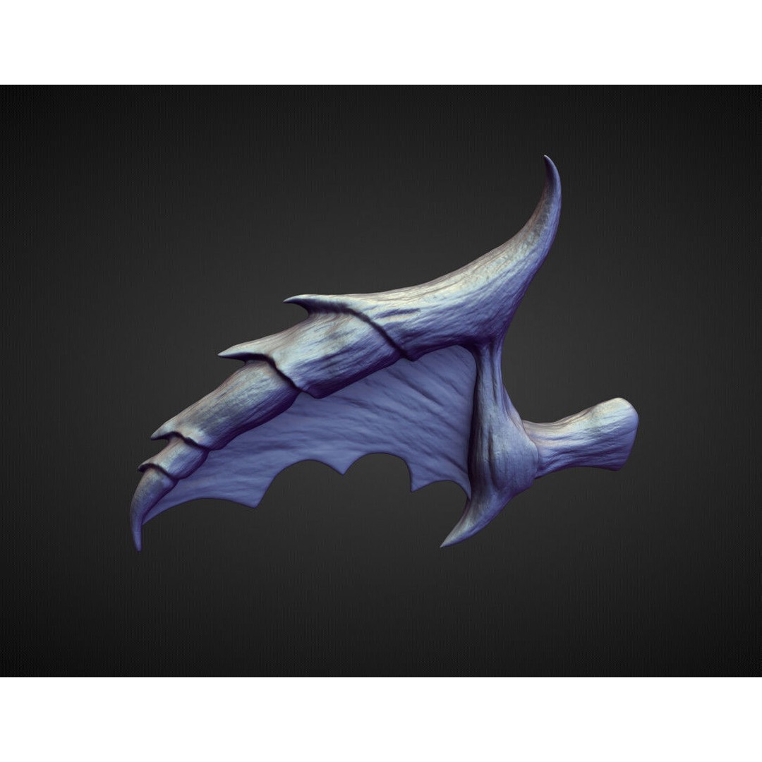 Wings and Fins 3D Model – High Poly Character Anatomy, Blender - View 18