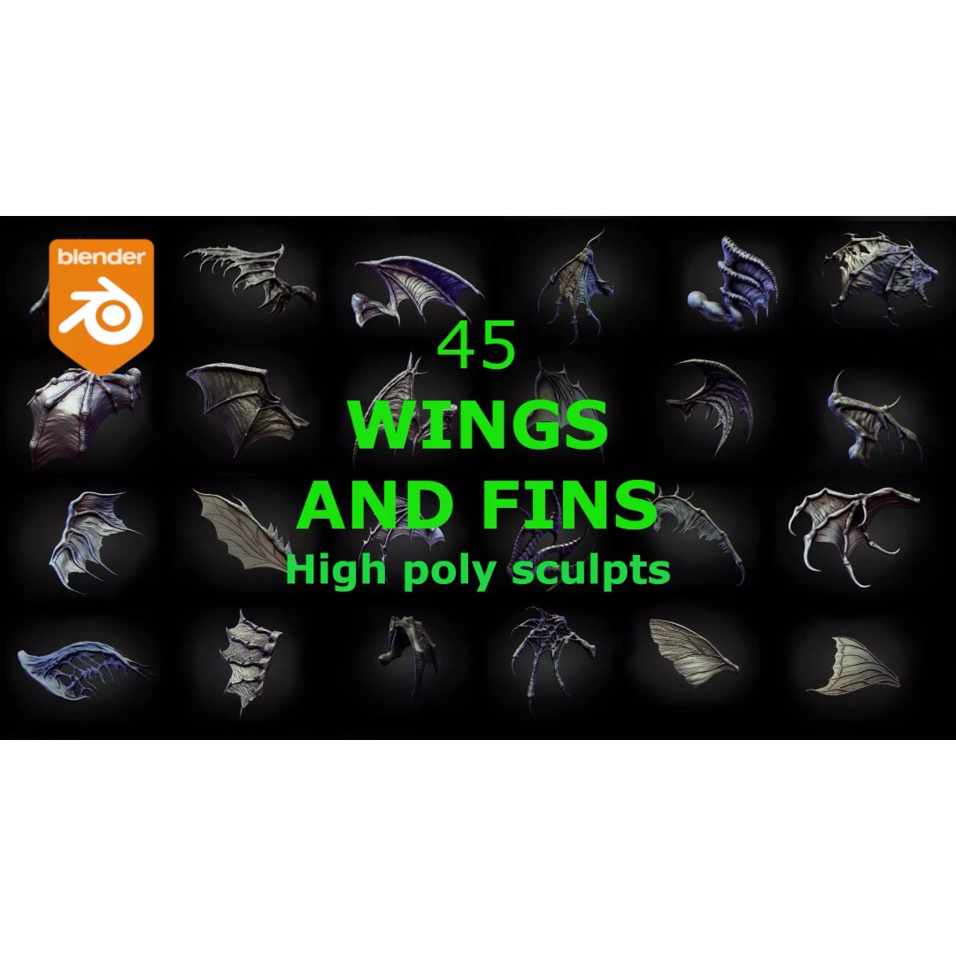 Wings and Fins 3D Model – High Poly Character Anatomy, Blender - View 2