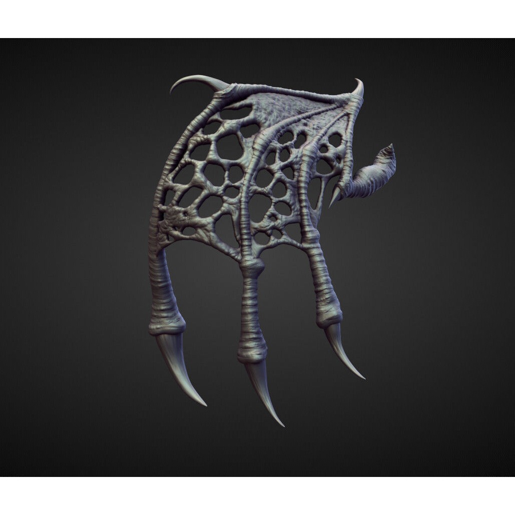 Wings and Fins 3D Model – High Poly Character Anatomy, Blender - View 20