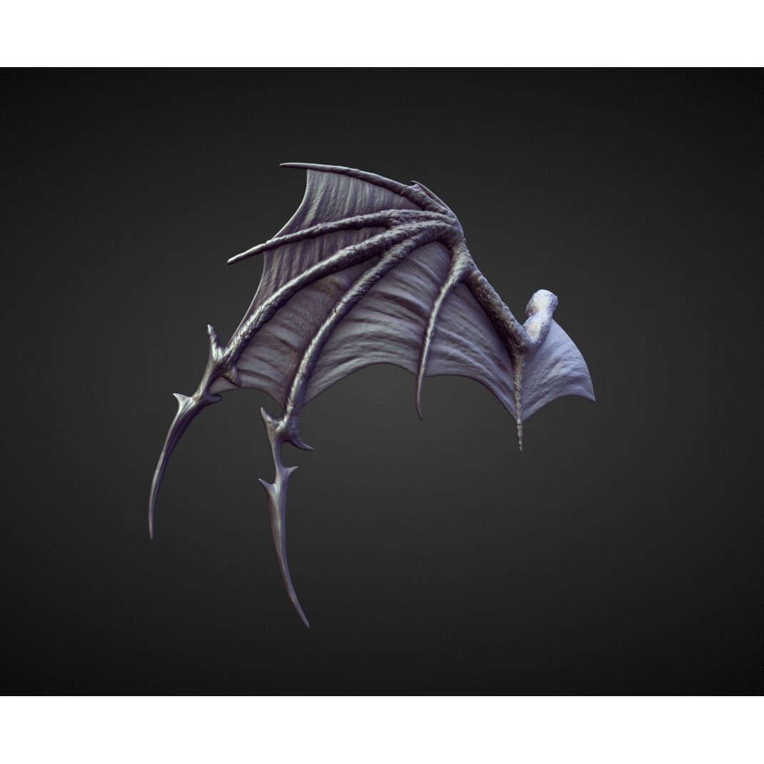 Wings and Fins 3D Model – High Poly Character Anatomy, Blender - View 21