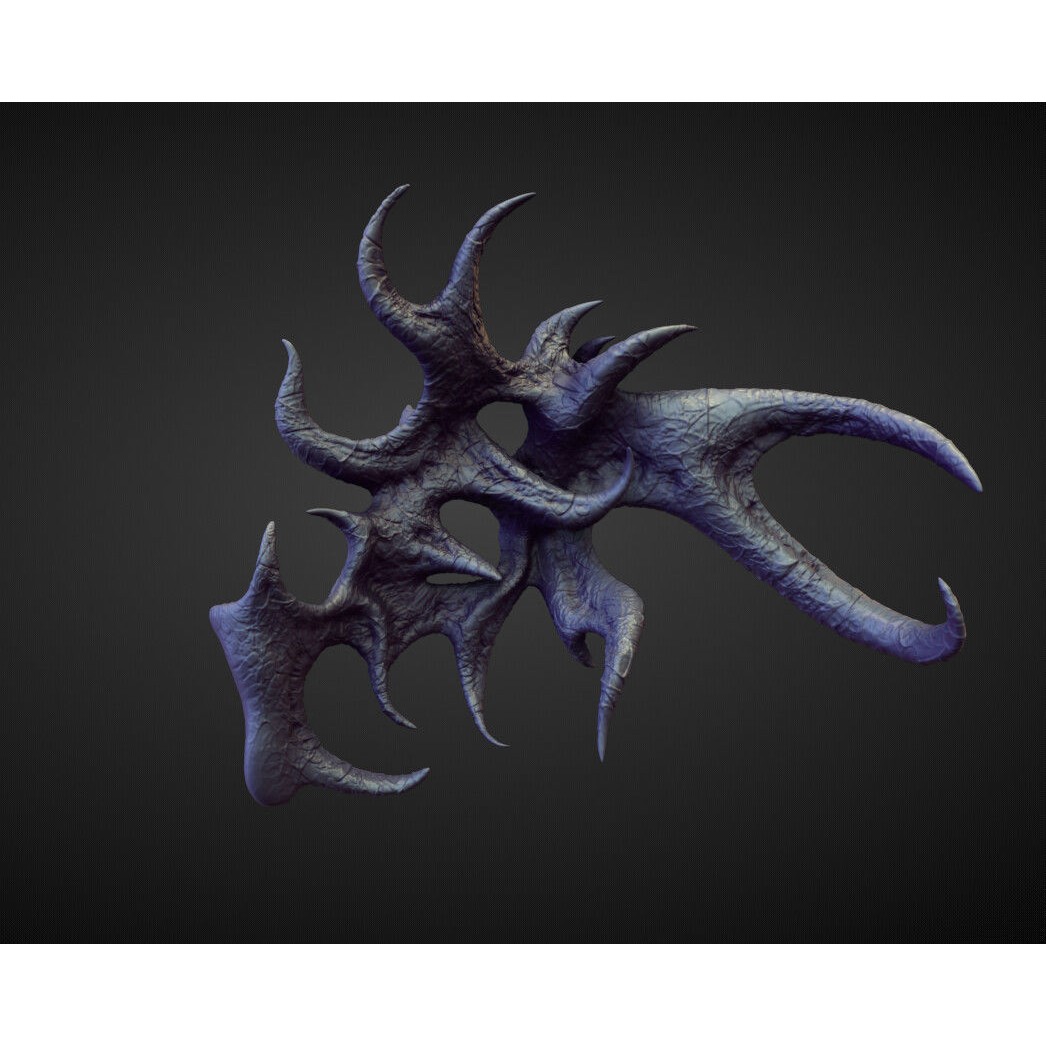 Wings and Fins 3D Model – High Poly Character Anatomy, Blender - View 22