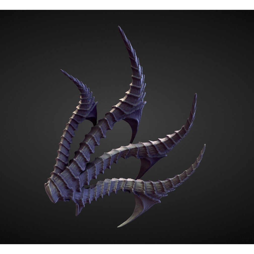 Wings and Fins 3D Model – High Poly Character Anatomy, Blender - View 24