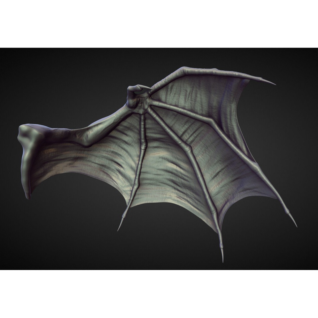 Wings and Fins 3D Model – High Poly Character Anatomy, Blender - View 25