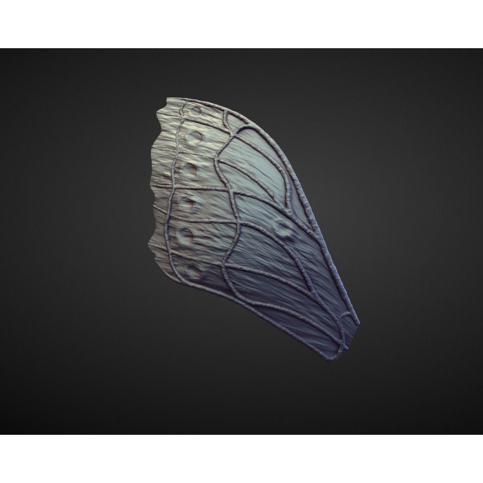 Wings and Fins 3D Model – High Poly Character Anatomy, Blender - View 28
