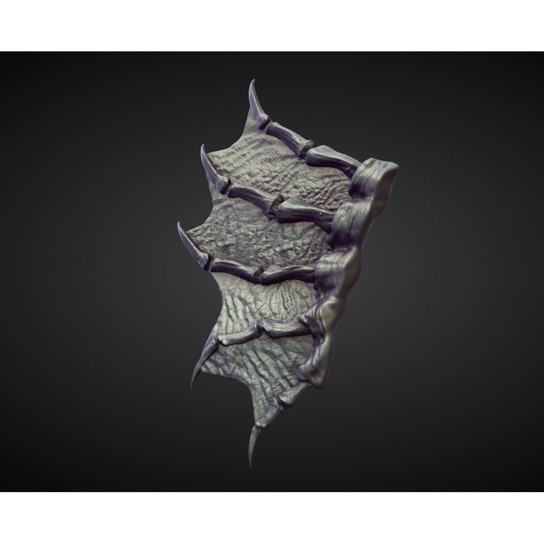 Wings and Fins 3D Model – High Poly Character Anatomy, Blender - View 3