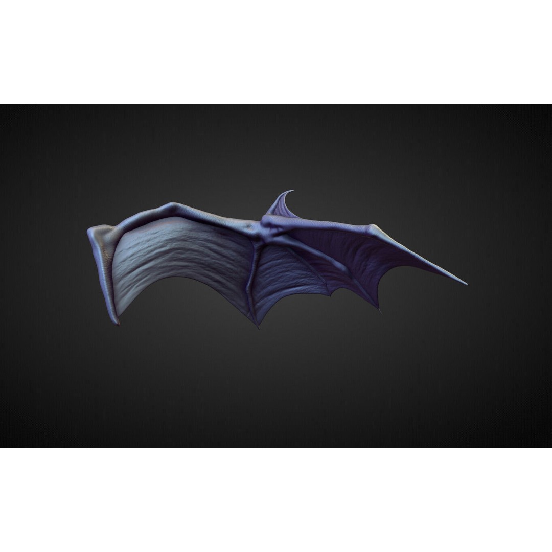 Wings and Fins 3D Model – High Poly Character Anatomy, Blender - View 30