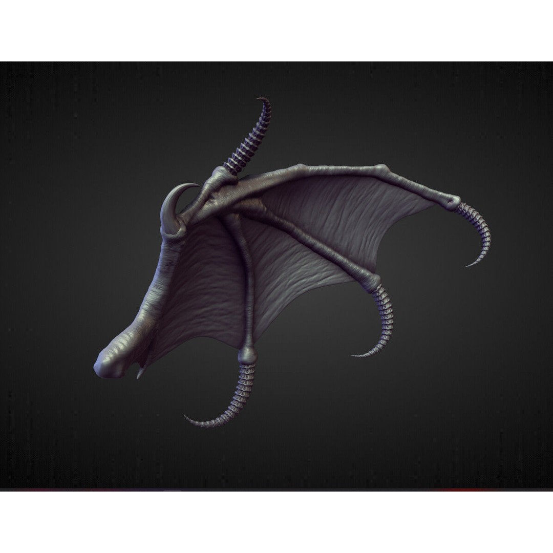 Wings and Fins 3D Model – High Poly Character Anatomy, Blender - View 31