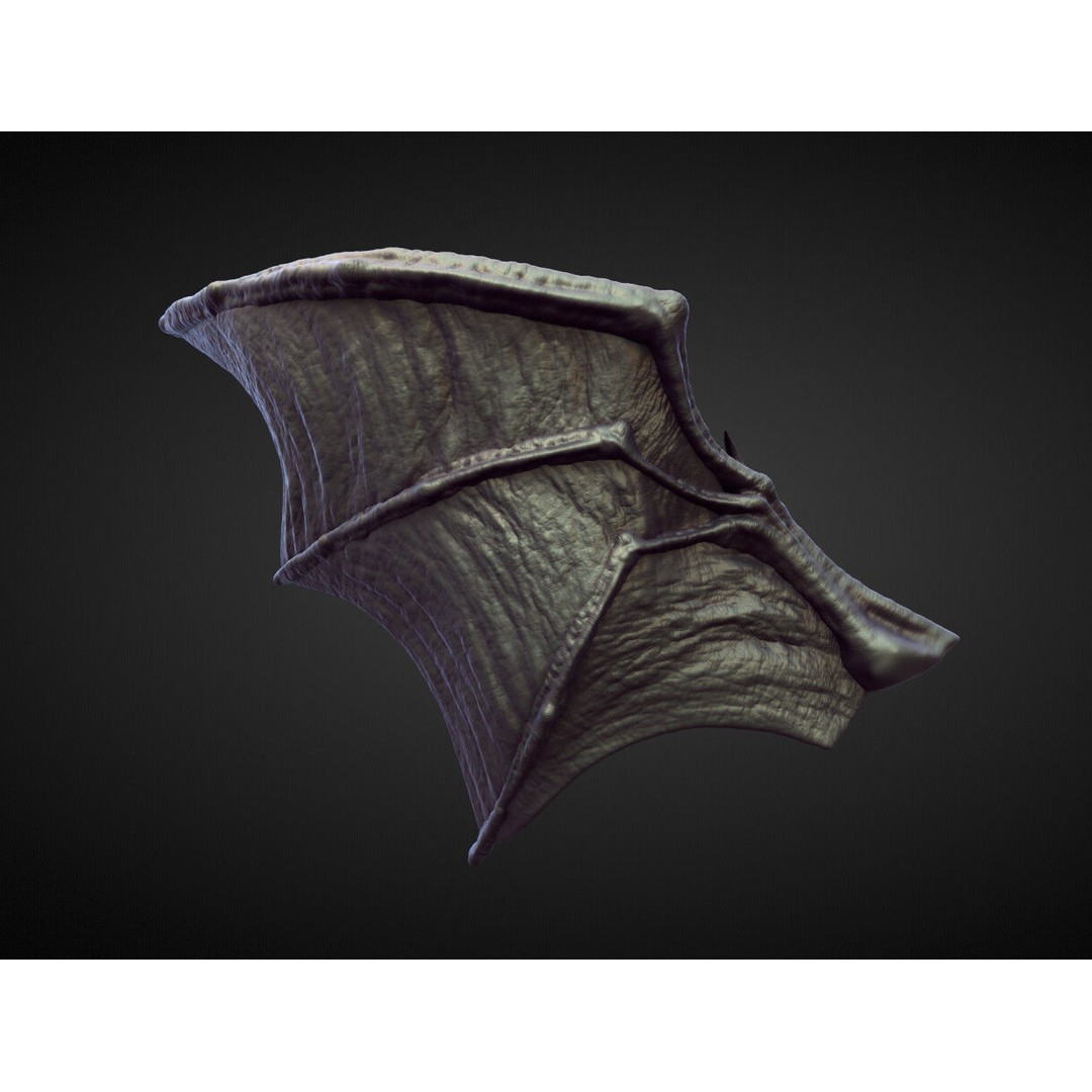 Wings and Fins 3D Model – High Poly Character Anatomy, Blender - View 32