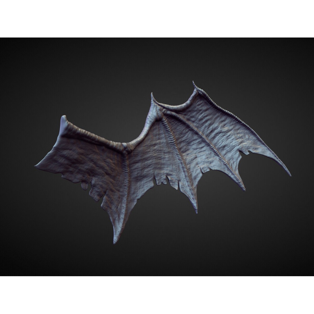 Wings and Fins 3D Model – High Poly Character Anatomy, Blender - View 33