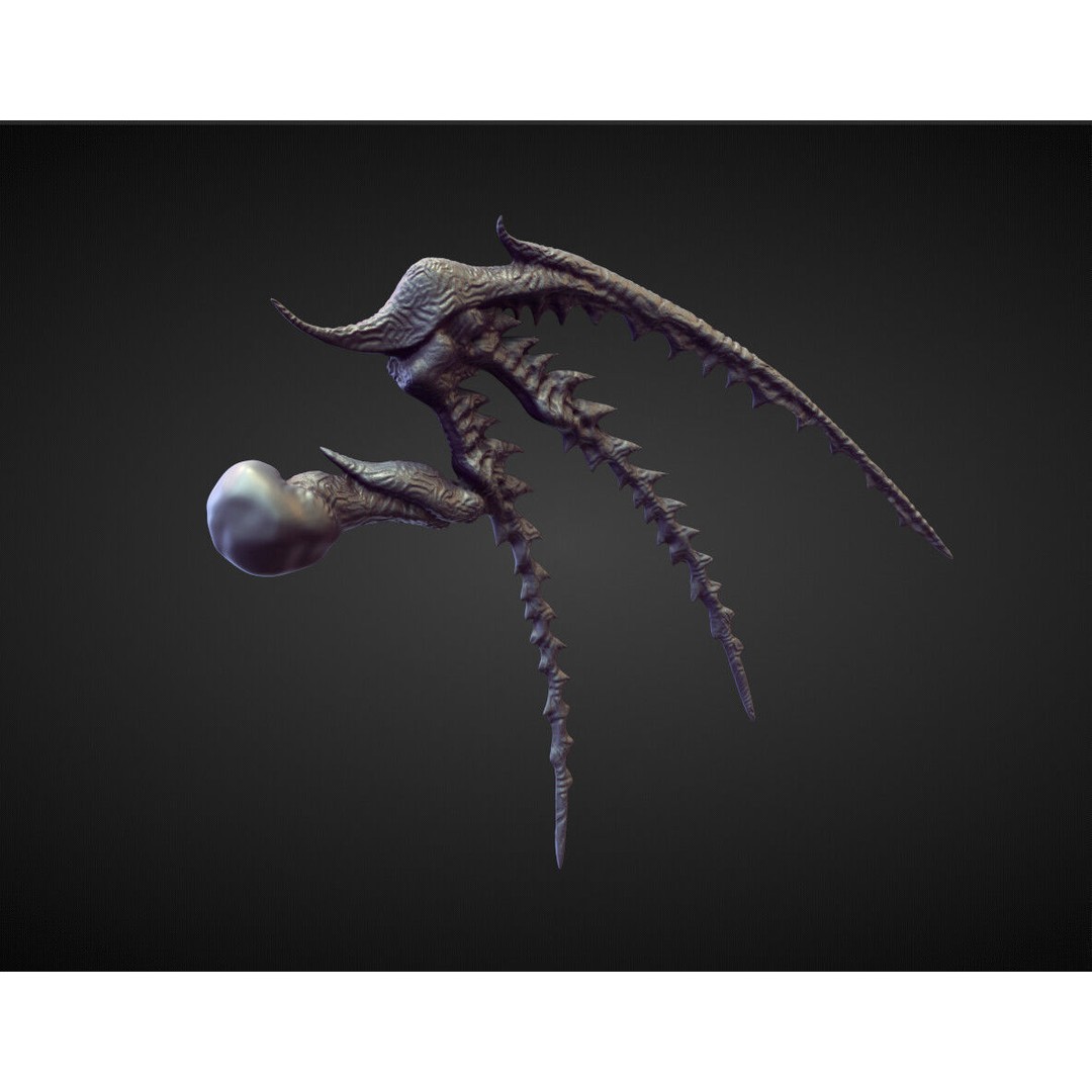 Wings and Fins 3D Model – High Poly Character Anatomy, Blender - View 34