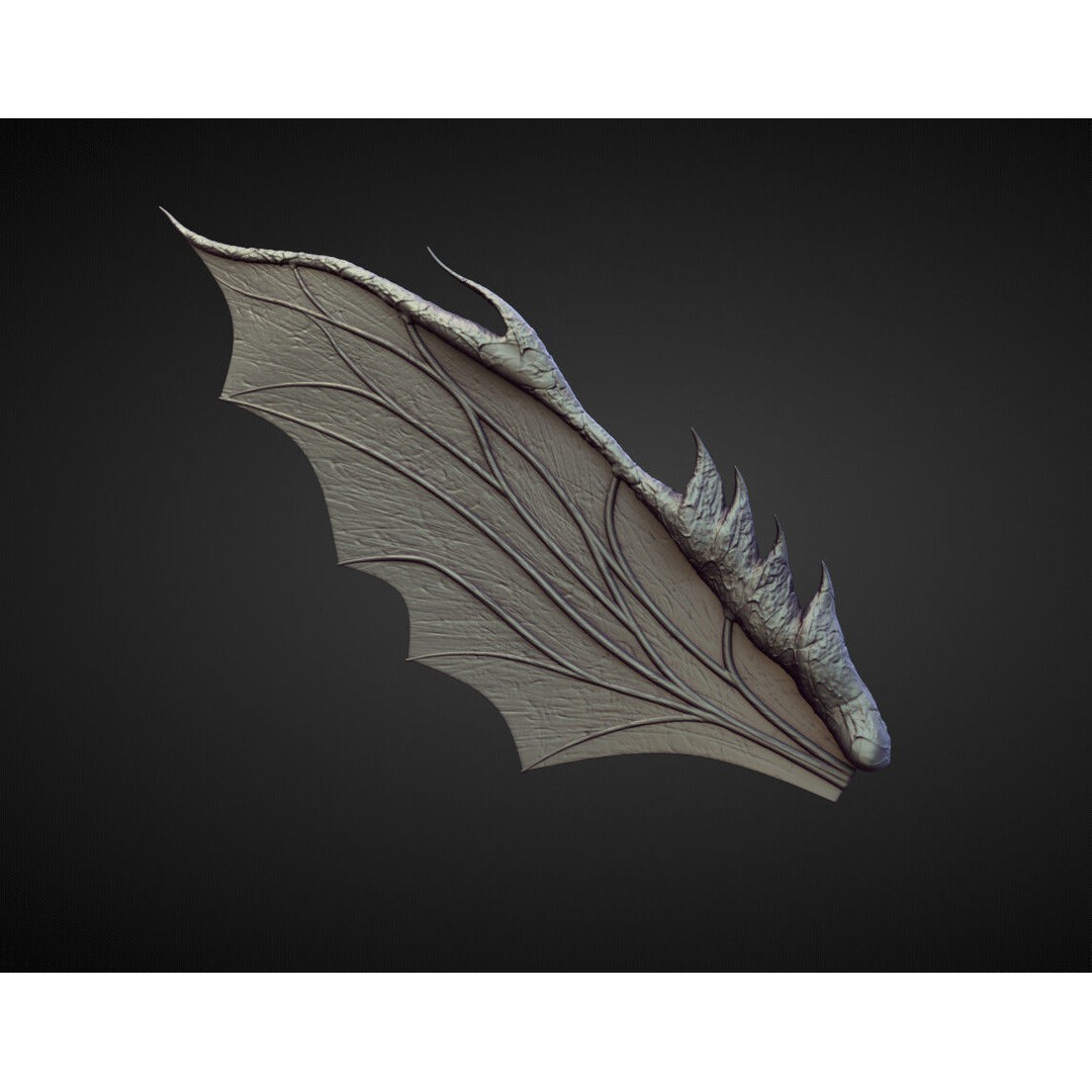Wings and Fins 3D Model – High Poly Character Anatomy, Blender - View 35