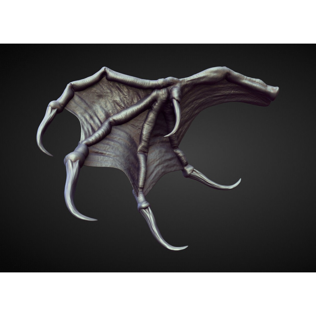 Wings and Fins 3D Model – High Poly Character Anatomy, Blender - View 36