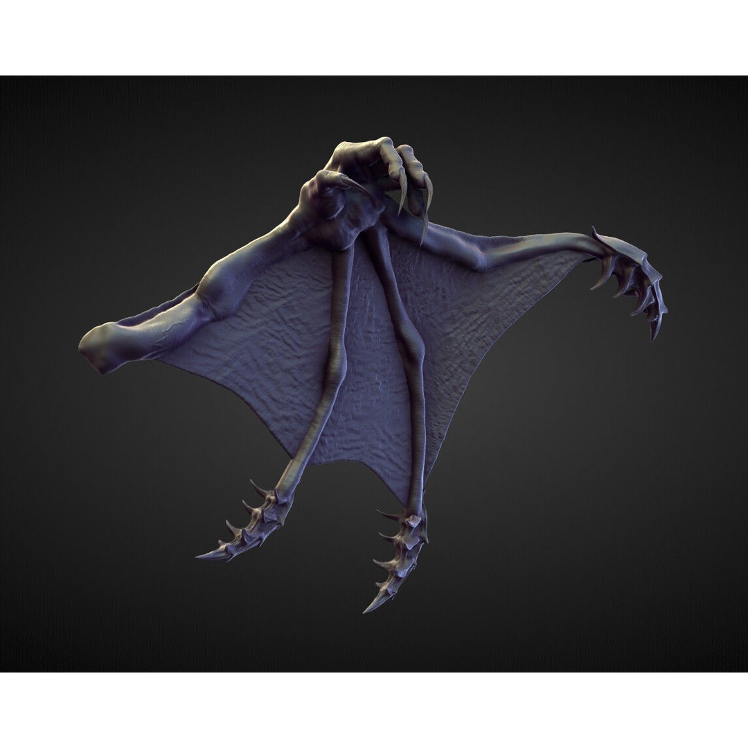Wings and Fins 3D Model – High Poly Character Anatomy, Blender - View 37