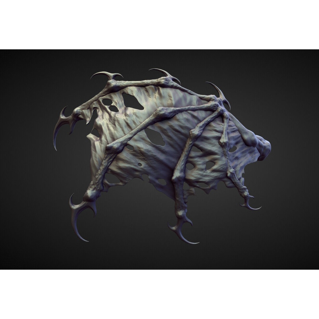 Wings and Fins 3D Model – High Poly Character Anatomy, Blender - View 38