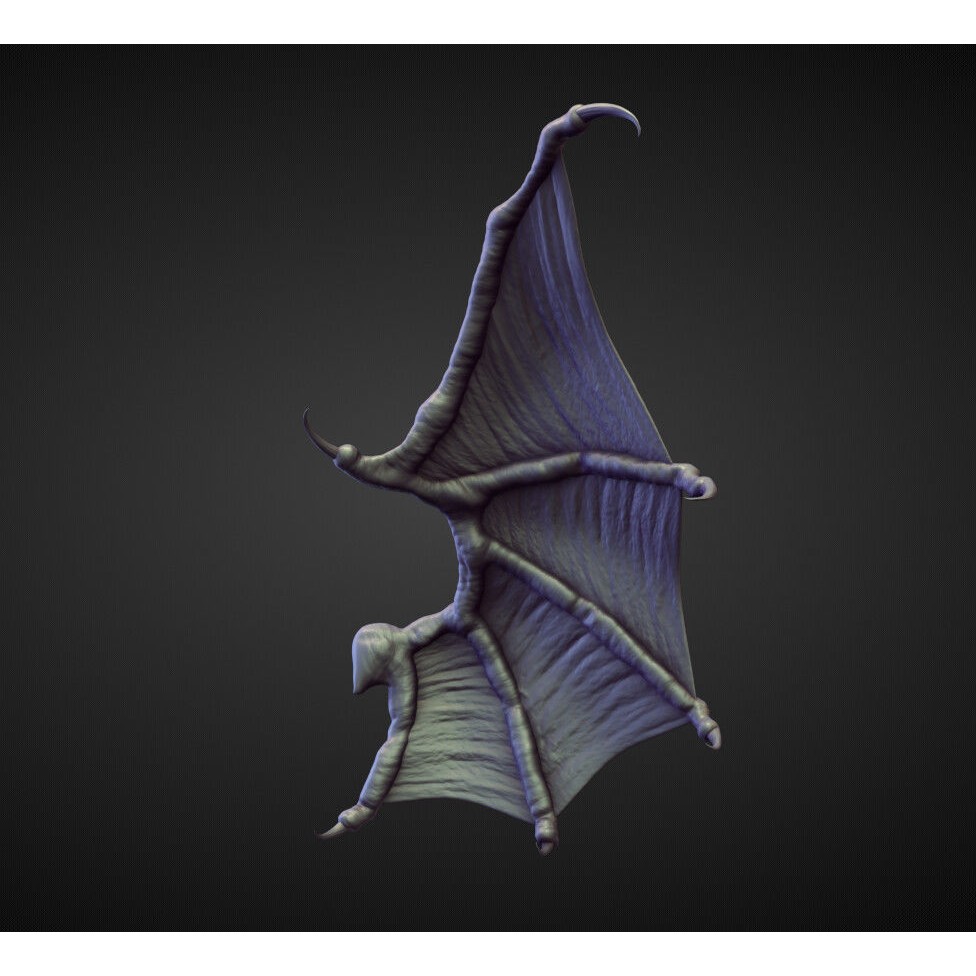 Wings and Fins 3D Model – High Poly Character Anatomy, Blender - View 39