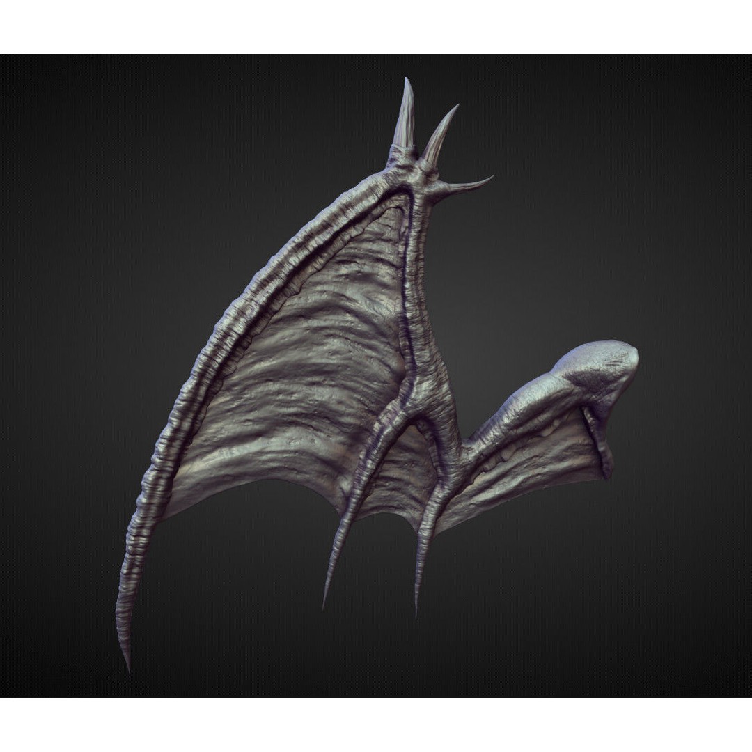Wings and Fins 3D Model – High Poly Character Anatomy, Blender - View 4
