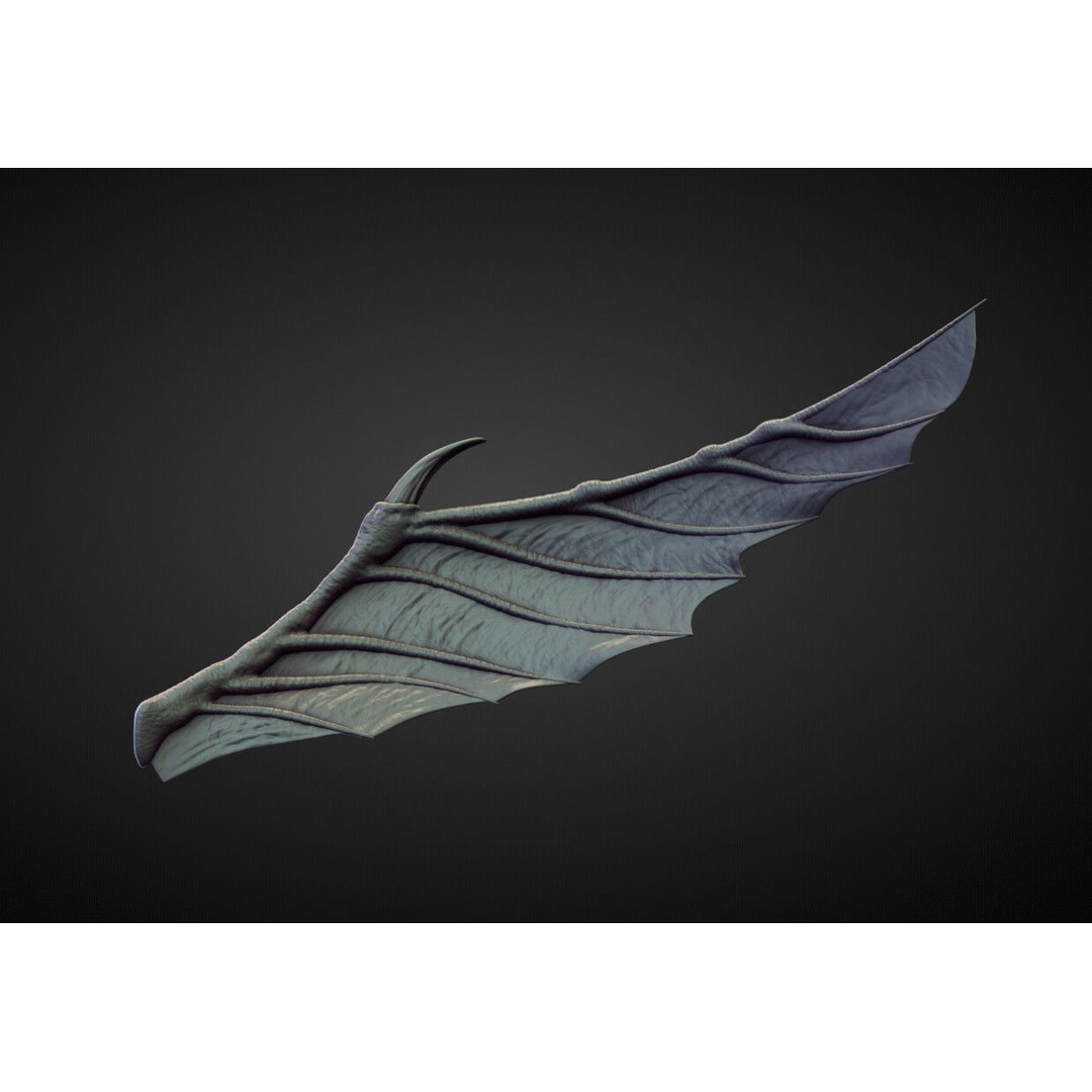 Wings and Fins 3D Model – High Poly Character Anatomy, Blender - View 40