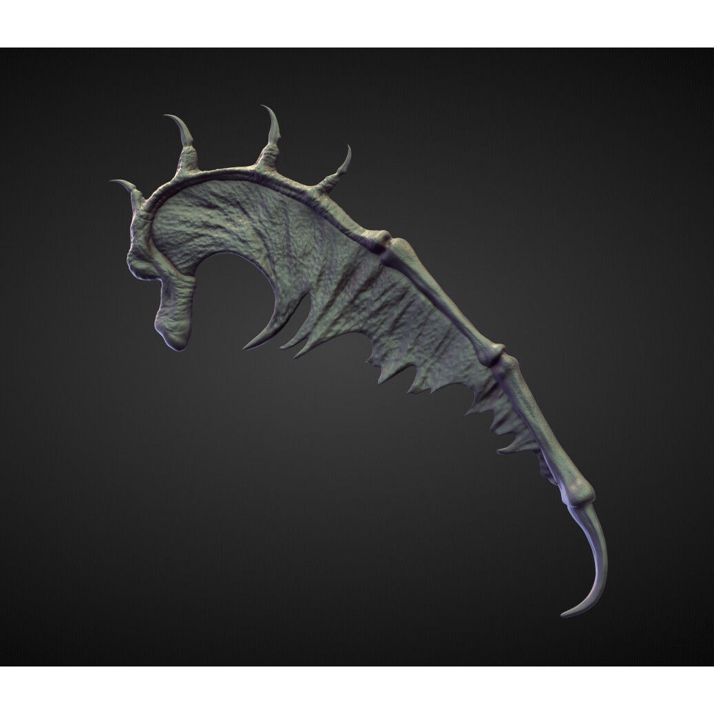 Wings and Fins 3D Model – High Poly Character Anatomy, Blender - View 43