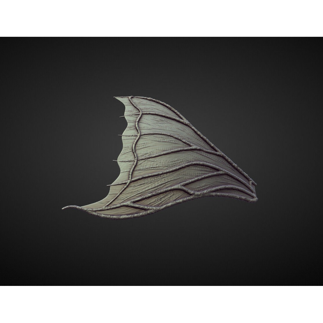 Wings and Fins 3D Model – High Poly Character Anatomy, Blender - View 44