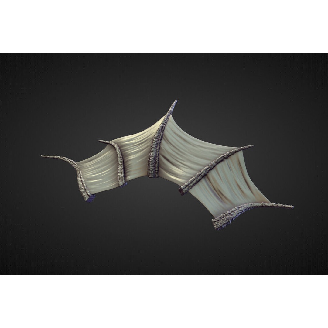 Wings and Fins 3D Model – High Poly Character Anatomy, Blender - View 45