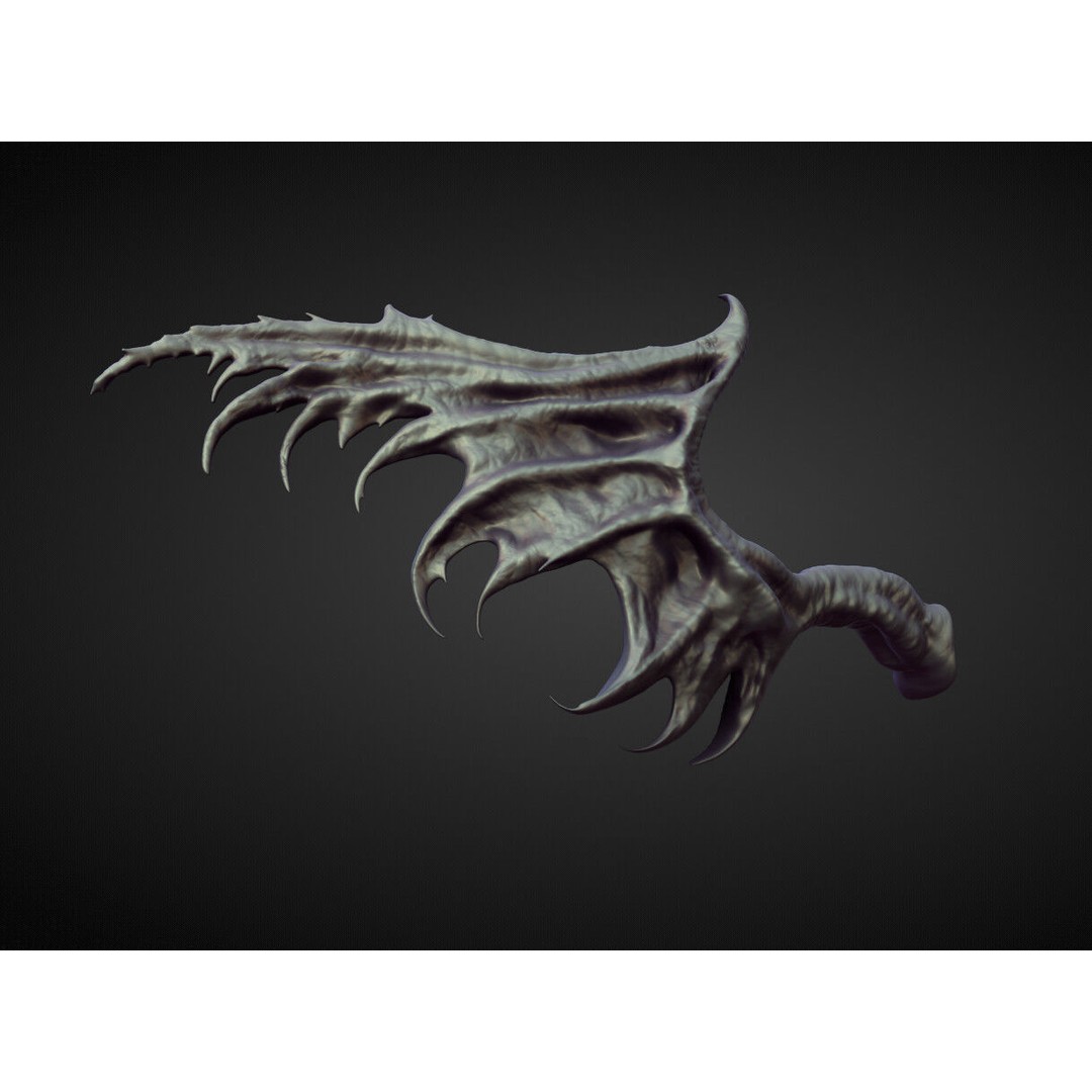 Wings and Fins 3D Model – High Poly Character Anatomy, Blender - View 46