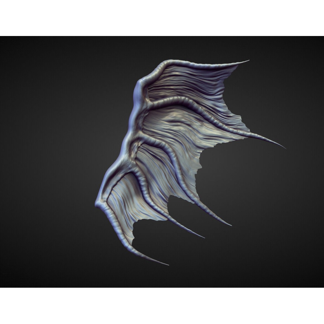 Wings and Fins 3D Model – High Poly Character Anatomy, Blender - View 5